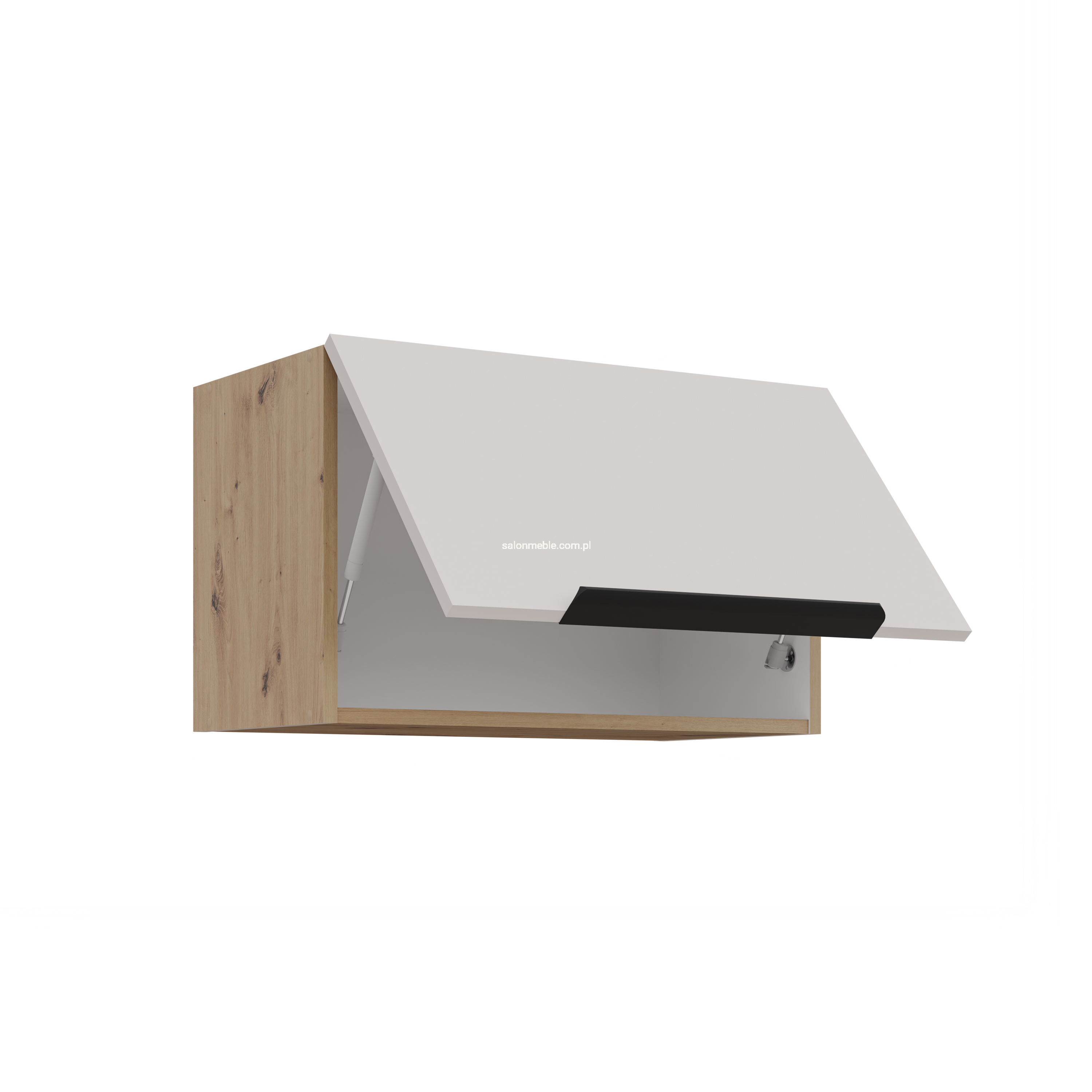 60 GU-36 1F SOLEA.png