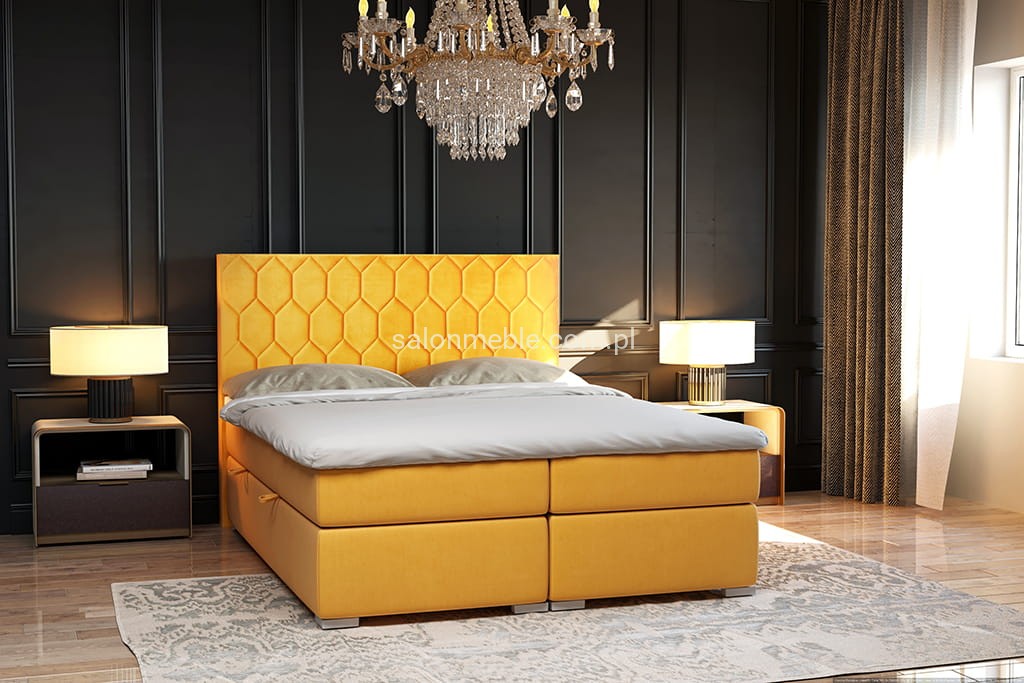 Pilato_low_res M.V. 2215.jpg